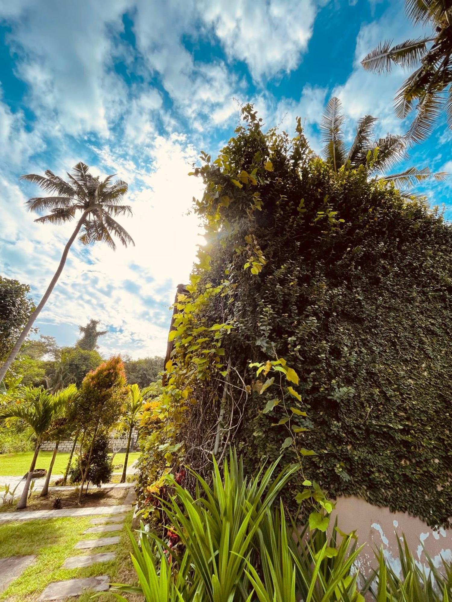Pedidi Penida Hostel Batununggul Esterno foto